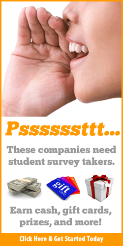 Paid Surveys for Students
